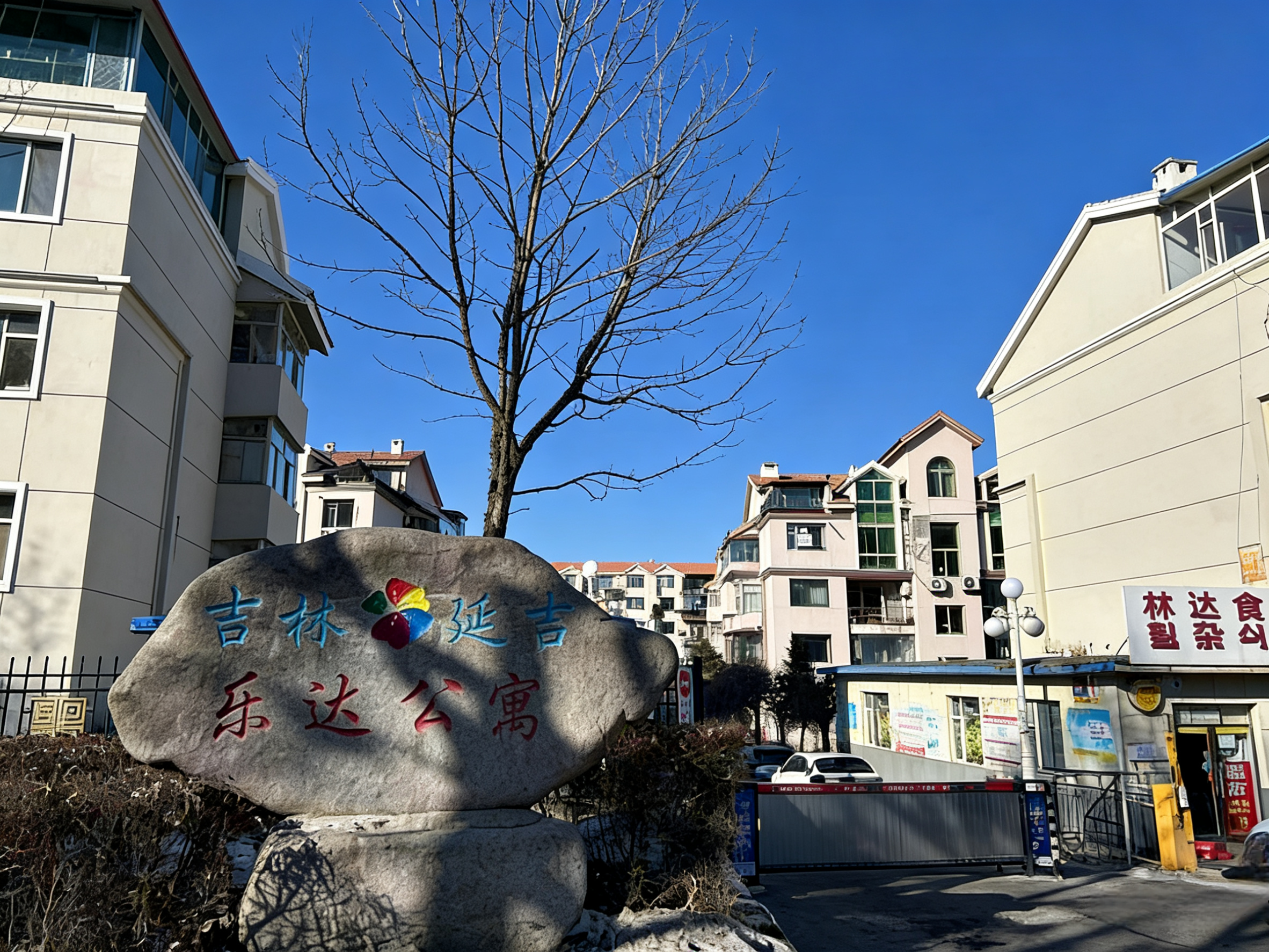 图片4